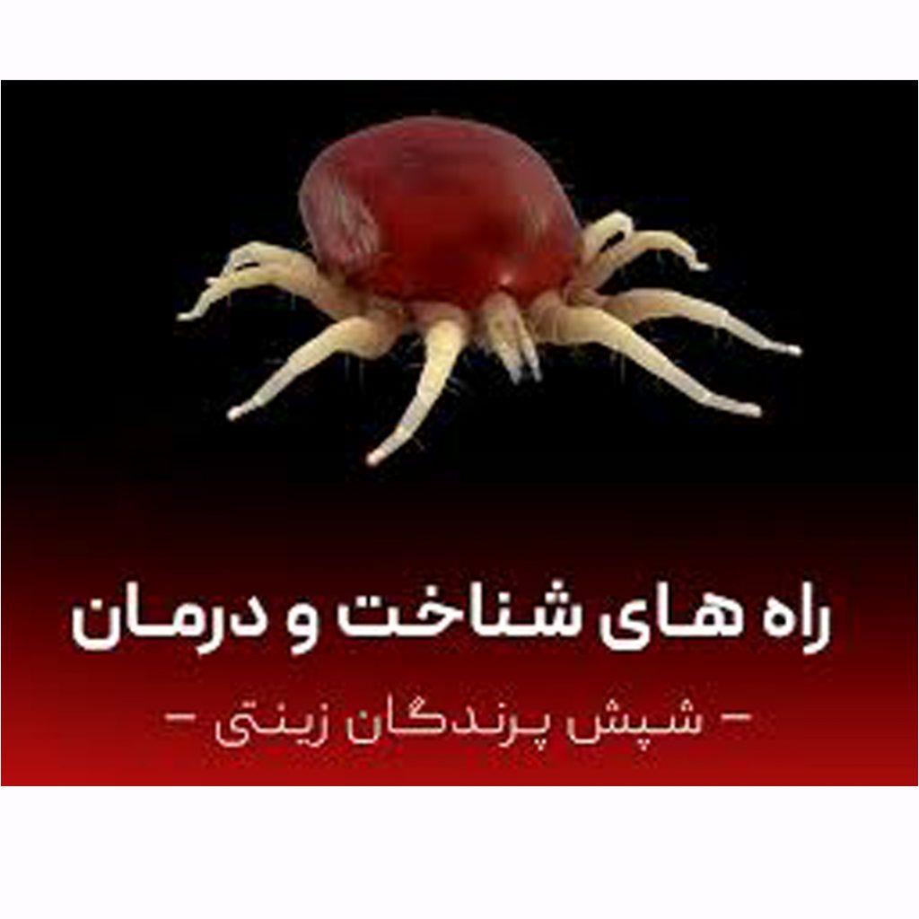 چگونه شپشک پرنده خود را درمان کنیم؟