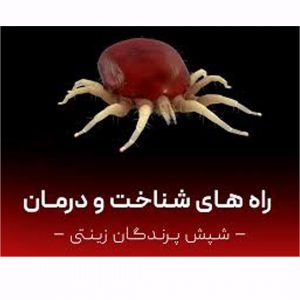 چگونه شپشک پرنده خود را درمان کنیم؟
