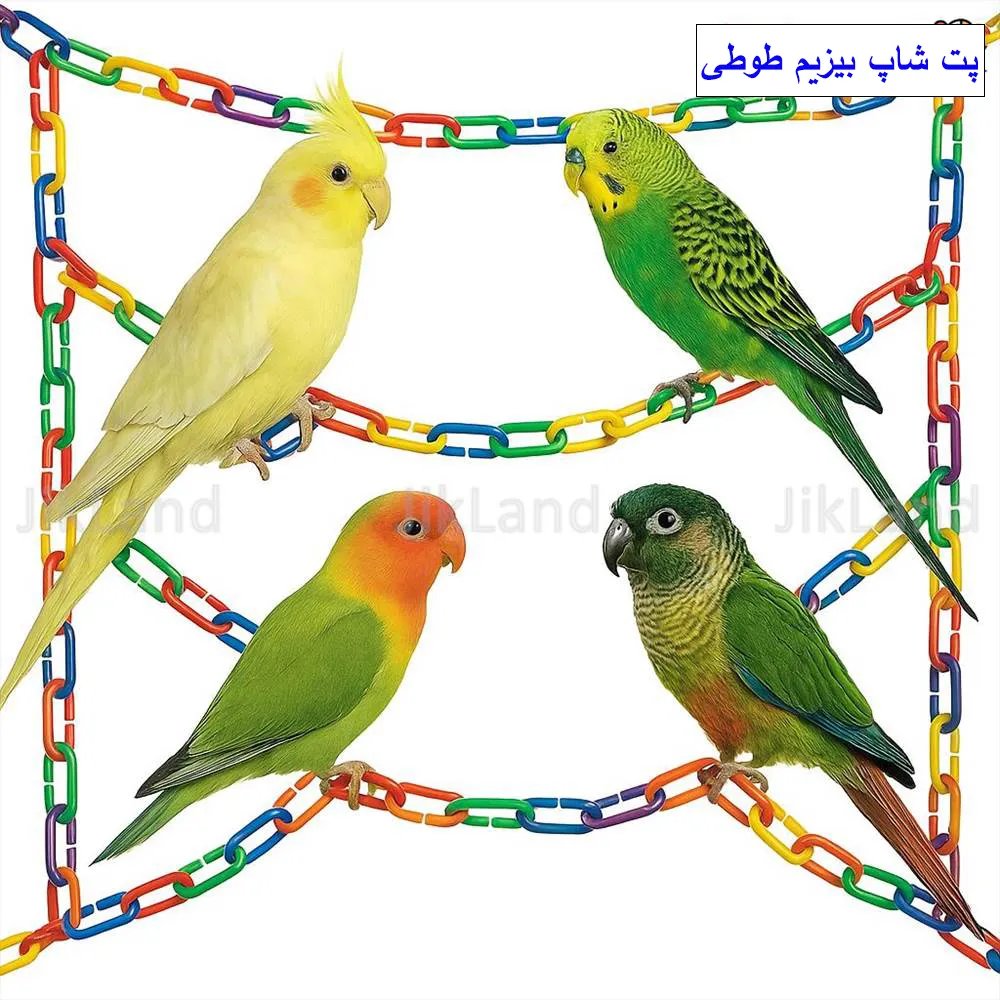 اسباب بازی پرندگان - زنجیر بازی