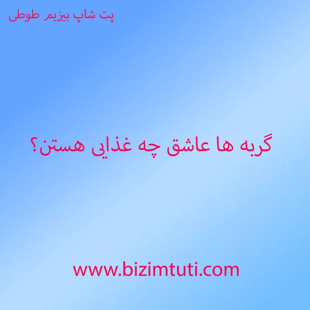گربه ها عاشق چه غذایی هستند