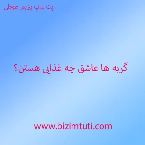 گربه ها عاشق چه غذایی هستند